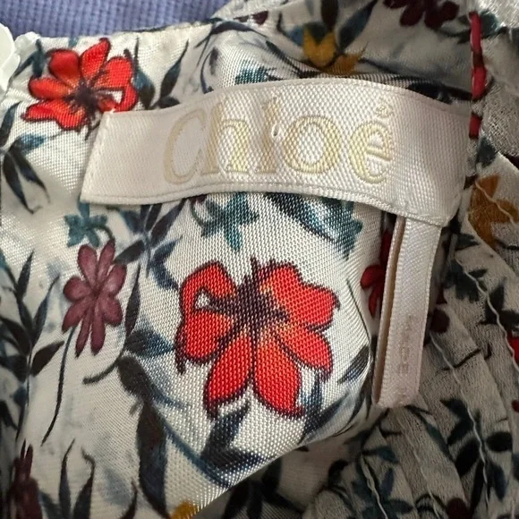 CHLOE Ruffle-trimmed Pleated Floral-print Georgette Mini Dress In Ivory …